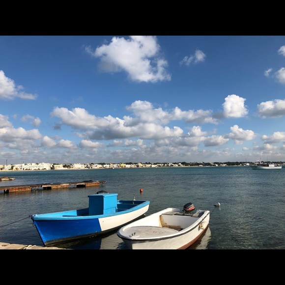 Meet your Posher, Mau - Picture 4 of 4